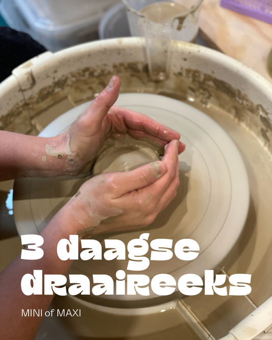 3 daagse draaireeks